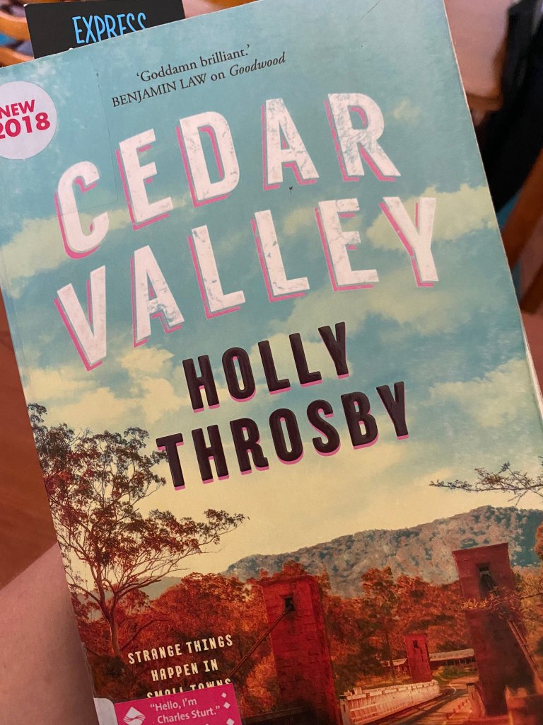 Book cover: Cedar Valley by Holly Throsby.